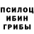 Псилоцибиновые грибы GOLDEN TEACHER Qwert Otoman