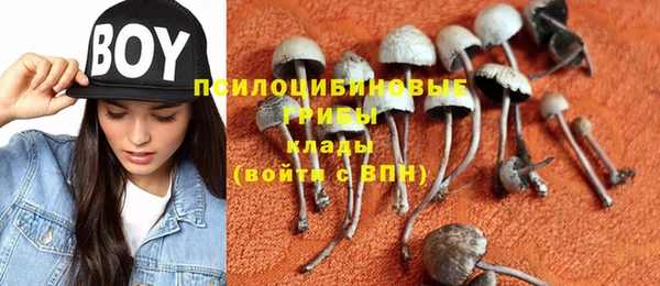 прущие крисы Беломорск