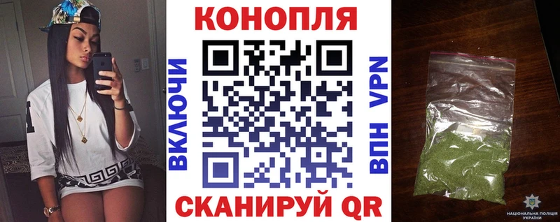 Каннабис гибрид  Миньяр 